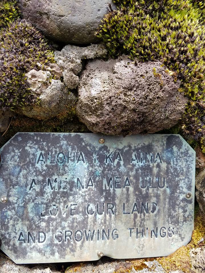 21231899_10213885931038529_654250956031849113_n