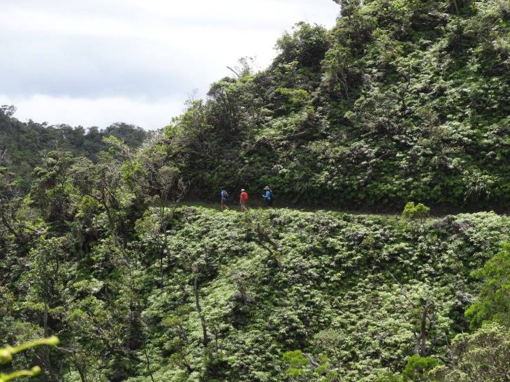 21318891_1654595801226640_7434165607283100805_o