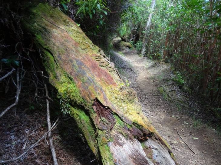 21368983_1654595877893299_7170282918095168888_o