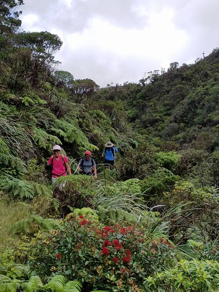 21369287_10213885930438514_3778480265437402588_n