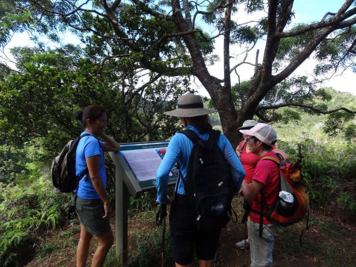 21427267_1654595421226678_4762245190568702462_o